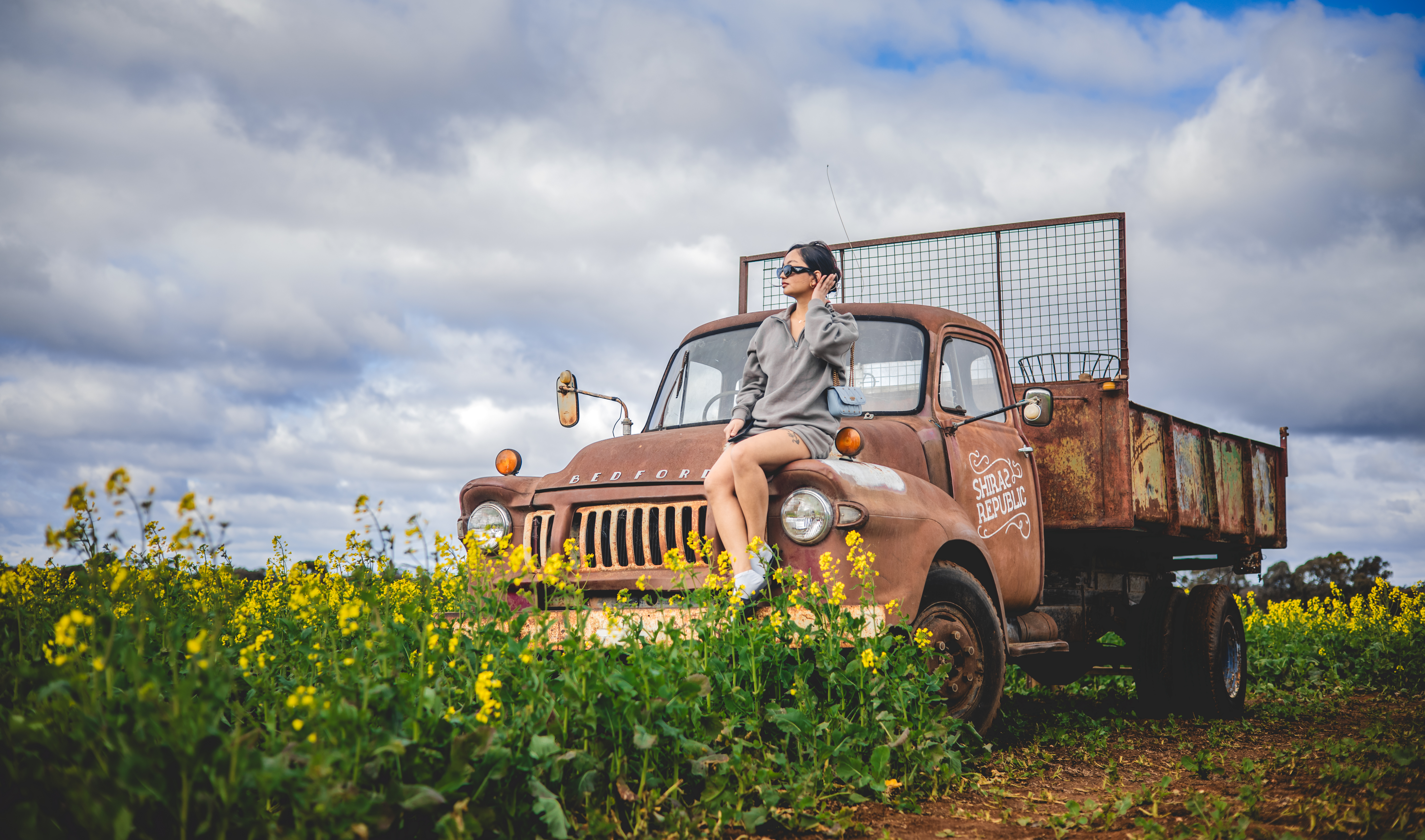 Exploring Nature's Canvas: A Walk Through the Vibrant Canola Fields